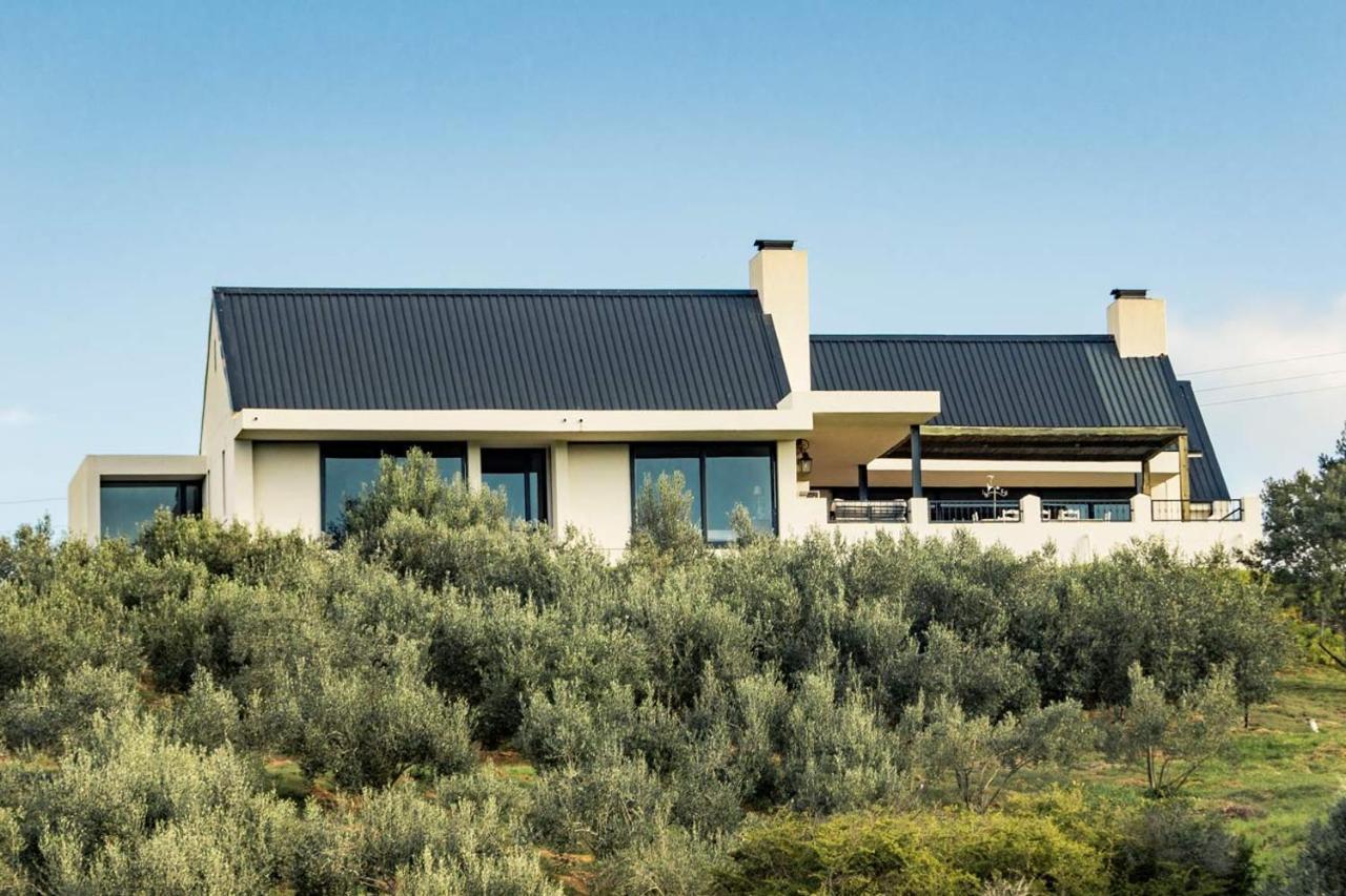 Oudewerfskloof Olive Farm Villa Stilbaai Kültér fotó