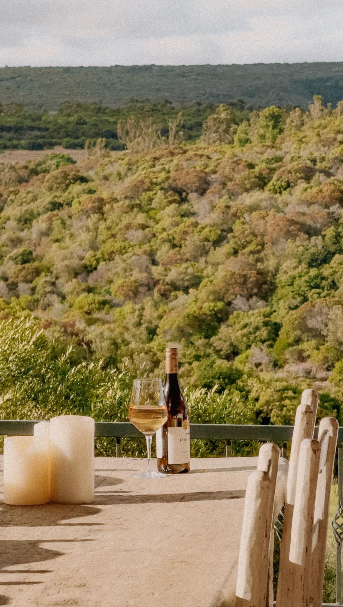 Oudewerfskloof Olive Farm Villa Stilbaai Kültér fotó
